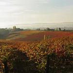 Domaine De La Durantie - Avec Jacuzzi Castelnau-de-Montmiral