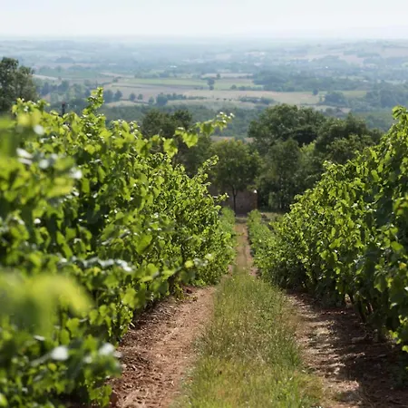 Domaine De La Durantie - Avec Jacuzzi