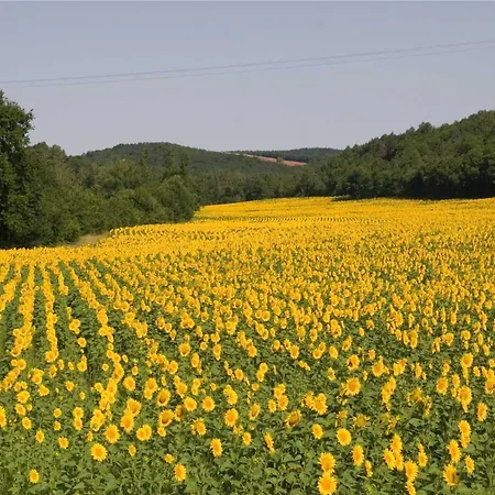 Domaine De La Durantie - Avec Jacuzzi
