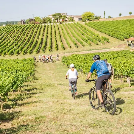 Domaine De La Durantie - Avec Jacuzzi *