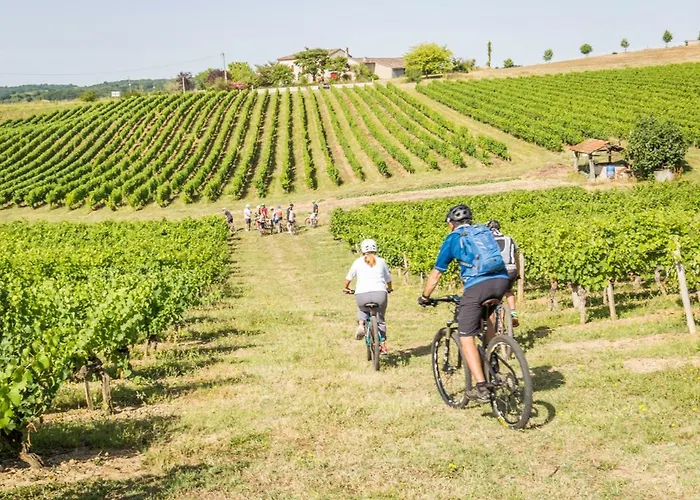 Domaine De La Durantie - Avec Jacuzzi *